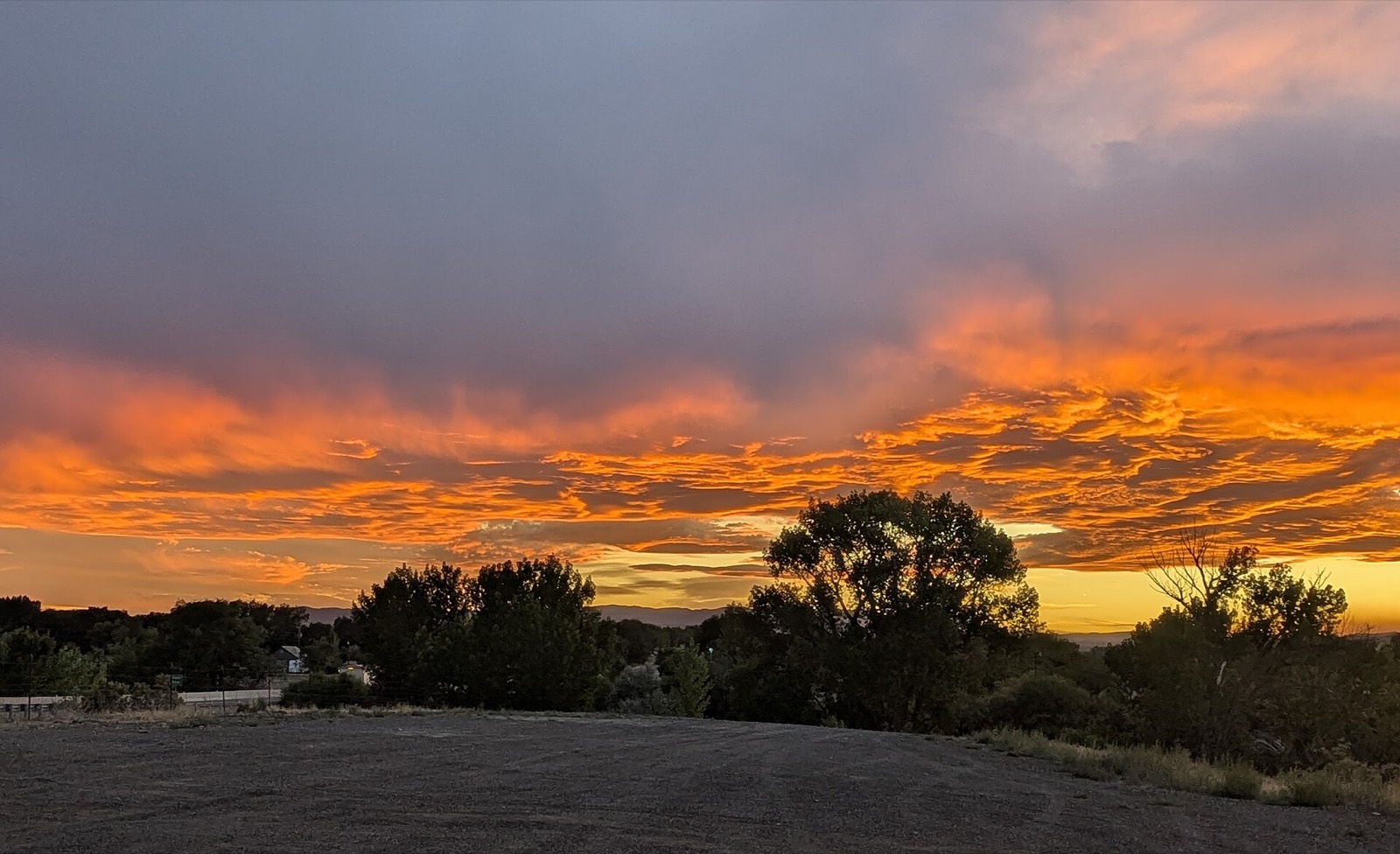 Sunset over the Salt Lake Valley, with trees silhouetted against an orange sky